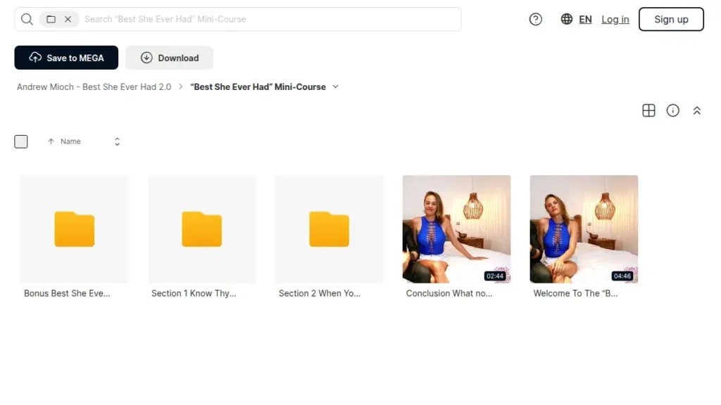Screenshot of the Best She Ever Had mini-course folder showing section folders and video lessons