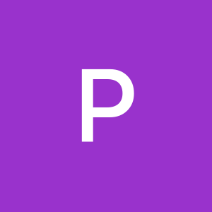 Profile photo of Parnian Derakhshan